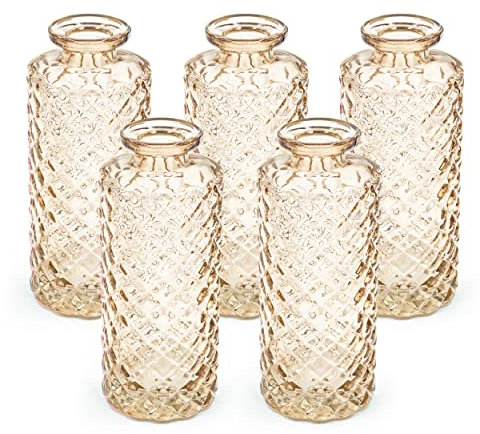 Blümelhuber 5er Set Kleine Vase Glas Deko Hochzeit - Vase Klein - Vase Modern - Deko Frühling - Pflanzen Deko Trockenblumen Set Vasen Hochzeitsdeko (Taupe)