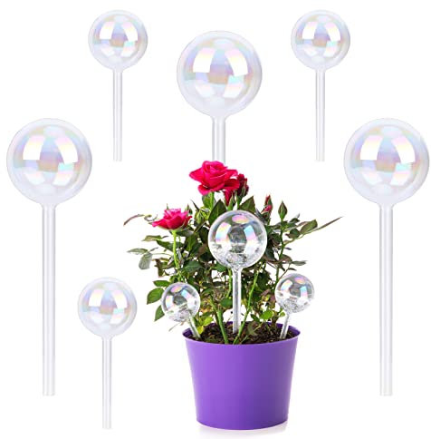 WOOWAIR 6 Pezzi Globi di Irrigazione Automatica, Palla Trasparente di Vetro, Acqua Sfere Grande per Piante in Vaso (Sferico)