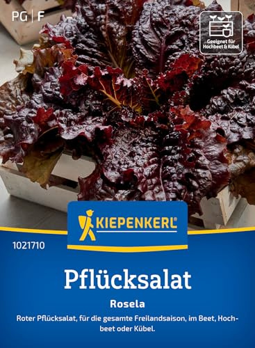 Kiepenkerl Pflücksalatsamen Rosela 1021710, Gemüsesaat | Schnellwachsender Pflücksalat für frische Ernten über die ganze Freilandsaison, rot-gekrauste Blätter, Wuchshöhe ca. 8-10 cm