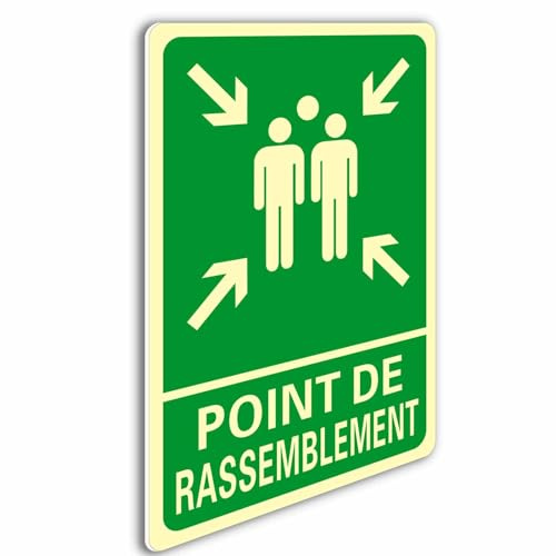 FR Ashoaza 1 Sammelpunkt, Sicherheitsschild aus PVC, für den Innen- und Außenbereich, selbstklebend, fluoreszierend (Cm 20 x 30) (Photolumineszierendes Schild, Notausgang)
