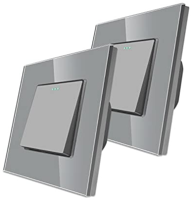 2 paquetes CNBINGO Botón Rocker Interruptores con puntos de tela fluorescentes, panel de pared Gris de cristal moderno, interruptor eléctrico sola capa, interruptor de 1 bandas de 2 vía, 10A 250V