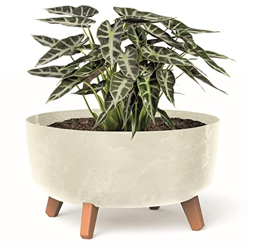 botle Bonsai Schale Baum Mini Garten Blumentopf an den Füßen Pflanzkübel D 38 cm Cremig Kunststoff Töpfe mit Einsatz Beton Optik Übertöpfe