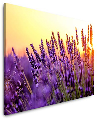Paul Sinus Art Lavendel Felder 120x 80cm Inspirierende Fotokunst in Museums-Qualität für Ihr Zuhause als Wandbild auf Leinwand in