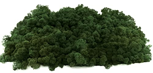 INMO Moos - Islandmoos echtes Natur Moos konserviert 1 KG Dunkelgrün. Dekomoos zum Basteln, Moosbild, Wand-Bilder, Wanddeko, Modellbau weitere Farben und Mengen zur Auswahl 40g - 500g 1 KG - 4 KG