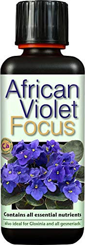 African Violet Focus 300ml
