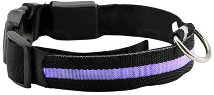 NEO+ UK Verbesserte Hund Sichtbarkeit & Sicherheit USB Wiederaufladbares LED Safety Dog Halsband. Ultrahelle LED 's. An Geräte. Hund Wird mehr sichtbar & Sicher (EXTRA Gross - XL, SCHWARZ)