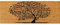 Astur Dintex Felpudo Coco Natural Recto 40X70