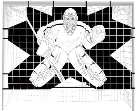 Street Hockey målmål, Hockey Net Target noggrannhetsutrustning