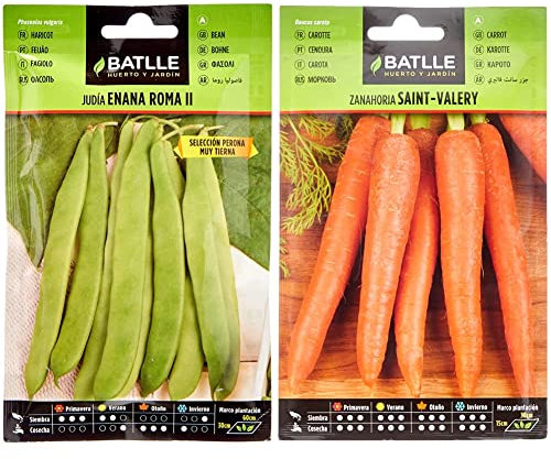 Judia ROMA Sel. PERONA & Zanahoria SAINT VALERY