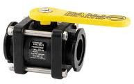 Banjo MV200CF 2 Manifold Flange Ball Valve, Polypropylene, Max 150 PSI