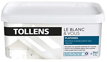 Tollens - Peinture Plafond Blanc - Toutes pièces - Limite les Traces de Rouleau - Monocouche - Blanc Mat 2,5L = 30m2