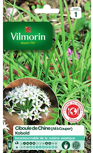 Sachet graines ciboule de chine