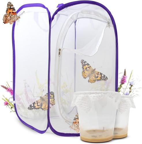 Schmetterlingszucht-Set für Kinder | Ca. 14 Raupen + großem Habitat (40x40x60 cm) | GRATIS E-Book + Lernmaterialien | Zuhause Raupen züchten ab 3 Jahren | Heimische Distelfalter Schmetterlinge züchten