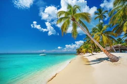 adrium Acryl-Bild 60 x 40 cm: Tropischer Strand in Punta Cana, Dominikanische Republik (123093698)