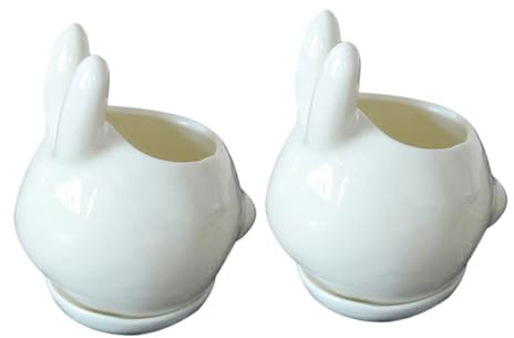 POPETPOP 2St Kaninchentopf Bonsaischale Topf für Pflanzen im Innenbereich The Office büroradio and ju saftiger Pflanzer Blumentopf-Ornament Schreibtisch Saftige Schale weißer Hase schmücken