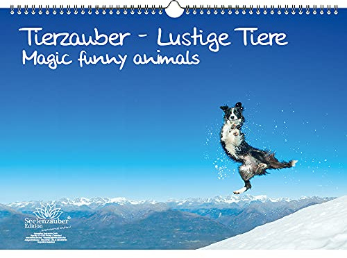 Tierzauber lustige Tiere DIN A3 Kalender - Immerwährender Kalender Lustige Momente mit Tieren - Seelenzauber