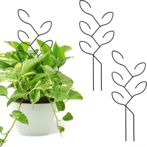 4 tralicci in metallo per piante rampicanti da interni, telaio rampicante in vaso, supporto per piante a forma di foglia, per viti Hoya, Pothos, fiori, Monstera