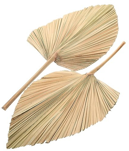 Cabilock 2 Pièces Feuilles de Palmier séchées de Palmier séchées décorations de Fleurs de Mariage Ornement Plantes artificielles éventail Chinois Feuilles de Palmier sèches l'été