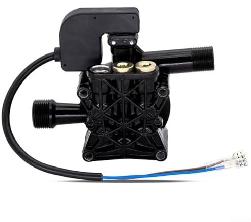 Testa della pompa di lavaggio di potere facile da usare 220V perfetta per la pulizia di casa e veicolo (testa della pompa quadrata)