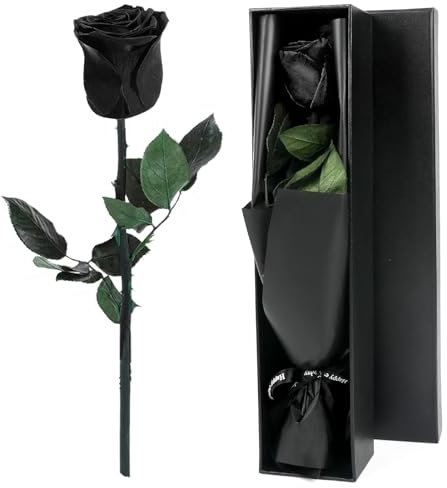 Joollurm eterni Rose Nere Regali per le Donne, Preservato Veri Fiori di Rosa con Gambo in Squisita Confezione Regalo per Ragazze Mamma Moglie San Valentino Anniversario Compleanno Matrimonio