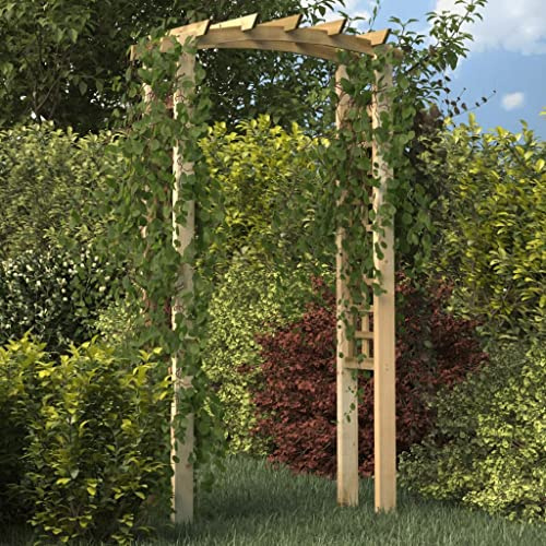 Générique Arche en Treillis 110x60x210 cm Bois de pin Massif imprégné,Arches, treillages & pergolas de Jardin,26.7KG-318560
