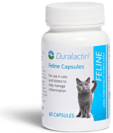 PRN Pharmacal Duralactin Feline - Joint Health Supplement for Cats & Kittens Supports Chronic Soreness, Joint Health & Overall Wellness - Gelatin Capsules Containing Dried Milk Protein - 60 Capsules