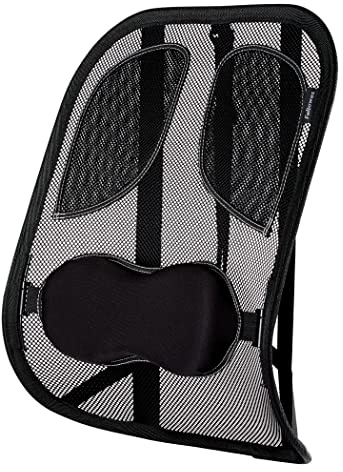 Fellowes 8029901 Netz-Rückenstütze Professional Series mit eingearbeiteten Polstern, Graphit