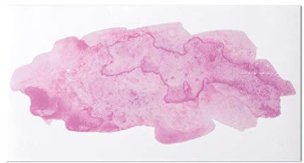 Rayher 31630258 Wachsmotiv Watercolor, rosé, 9 x 16,9 cm, 1 Stück, zum Gestalten von Kerzen (Firmung, Konfirmation, Taufe, Hochzeit etc.)