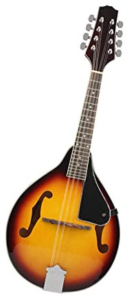 Mandolin Eight-string Mandolin Stringed Instrument Mandolin Mandolin Instrument