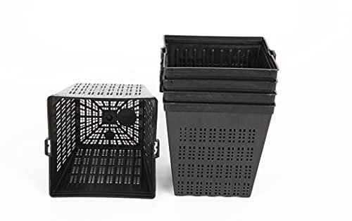 Lincolnshire Pond Plants Ltd Pond Planting Aquatic Basket Packs - 1 Litre - 11cm Square Pots x 2