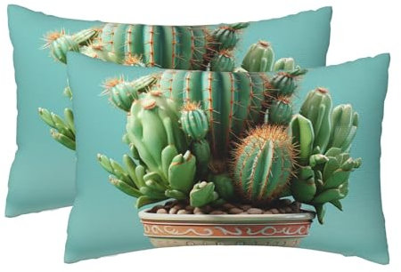 2 Pack Queen Size Pillow Cases with Zipper, Soft Breathable Pillowcase for Hair and Skin, 20x30 Pillow Covers for Sleeping Gift Bed Pillow Case Cactus Flower Pot Pillowcases