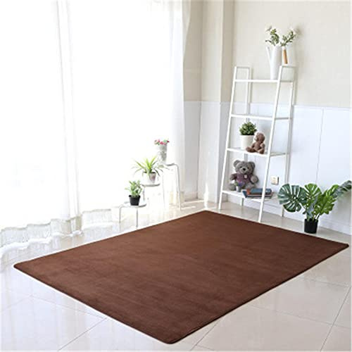 Alfombra de Terciopelo Coral Grueso de Color sólido Calidad Marrón oscuro grande Suave Lavable Antideslizante Grande Rugs Minimalista Moderna Sala De Estar Dormitorio Tatami Gateando Estera -120×140cm