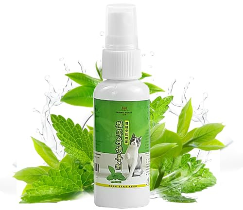 Vaporisateur d'herbe à chat pour chats, 50 ml, pour chat et chaton pour une utilisation en intérieur/extérieur, entraînement à la maison