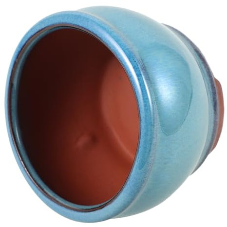 NULYLU Maceta para Suculentas y Cactus Decorativa para Interiores y Exteriores Diseño Delicado y Orificios De Drenaje para Escritorio y Balcón