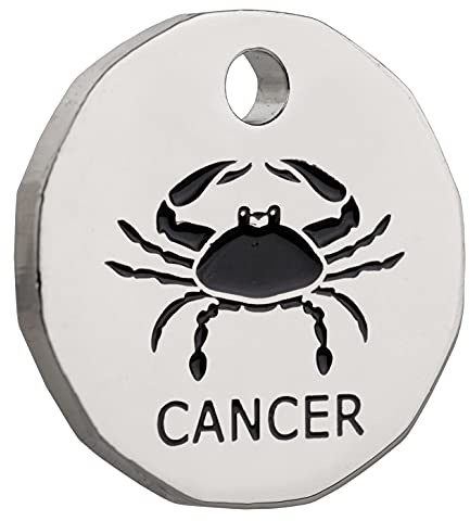 Harts 1 unit New Shape Zodiac £1 coin Trolley Tokens Keyrings Supermarket Locker (Cancer)