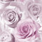 Muriva Madison Glitter Amethyst Wallpaper 139522 - Flower Floral Large Roses Pink