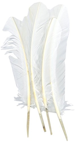 ERGEOB 20 stück Truthahnfedern basteln Federn Bogen Federn ERGEOB 20-30cm weiß