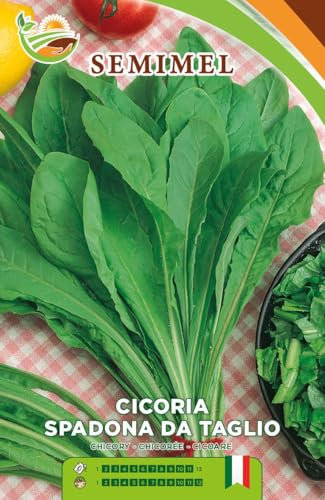 Cicoria Spadona da Taglio- Semi Ortaggio a Foglie Strette, Facile Coltivazione Tutto l'Anno, Raccolto Stagionale 3 confezioni
