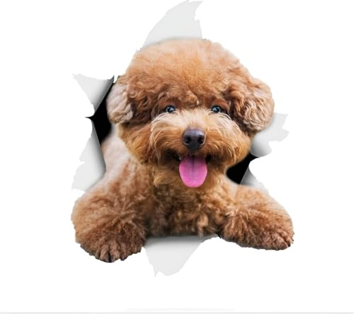 Autoaufkleber Pudel Aufkleber 15cm(5.9 Inch) Pudel Reflektierende Aufkleber 3D Zerrissen Autoaufkleber Haustier Hund Lustig Aufkleber Poodle Car Sticker Lustig Dekor