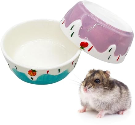 Ciotola per criceti, piccoli animali, in ceramica, per alimenti, per evitare di ribaltarsi, per porcellini d'India, coniglio, gerbillo, cincillà, riccio (2 pezzi), colore: viola + blu)