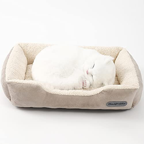 Nyescasa Hundebett Katzenbett Hundesofa Katzensofa Hundematte Katzenschlafplatz Hundekörbchen Katzenkissen Hundekissen Orthopädische Waschbar Rutschfest für Kleine Hunde und Katzen Beige S(40*31*10）