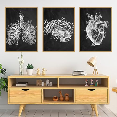 KAIDAARTLH Poster astratto, anatomia, organi, cuore, cervello, studio medico, stampa artistica da parete, per ospedale, clinica, decorazione senza cornice(B,3x60x90cm)