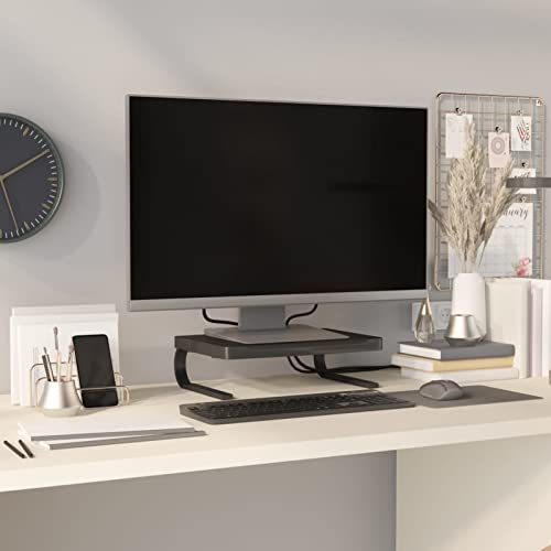LAPOOH Monitorständer, Monitor Erhöhung, Schreibtischaufsatz, Monitor Erhöhung Schreibtisch, Bildschirm Erhöhung, Schreibtisch Regalaufsatz, Schwarz 37x28x11,5 cm