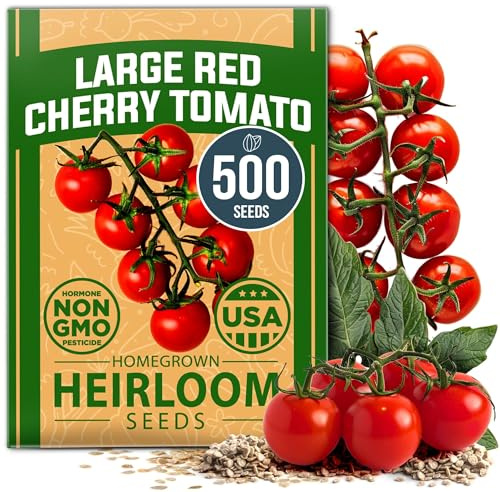 HOME GROWN Large Red Cherry Tomato Seeds, 500+ Seeds, Solanum lycopersicum