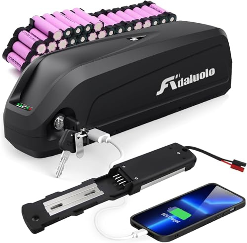 Adaluolo Batería Ebike Hailong, 48V 20AH Bateria para Bicicletas Electrica Ricambio Litio Ion Batteria con Cargador, Placa Base 4 Pin, Puerto USB para Ba-Fang/Tong-Sheng & Otros