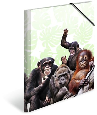 HERMA Sammelmappen A4 Affe Set, 3 Stück, Kinder Eckspanner-Mappen aus Kunststoff mit Tier Motiv, Gummizug, Innenklappen und Innendruck für Jungen und Mädchen