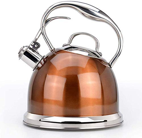 Hervidor Hervidor Hervidor de gas de acero inoxidable 304 Agua hirviendo Cocina de inducción de gas Silbato Hervidor pequeño Tetera de acero inoxidable pesa rusa DF
