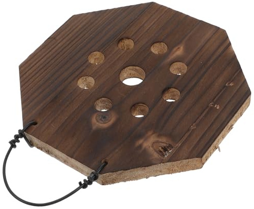 ANDRESLAD Kit de Montaje de Pared para Helechos Platycerium Jardinera Colgante de Madera Maciza Carbonizada Octogonal Maceta de Pared para Orquídeas y Plantas de Interior Decoración