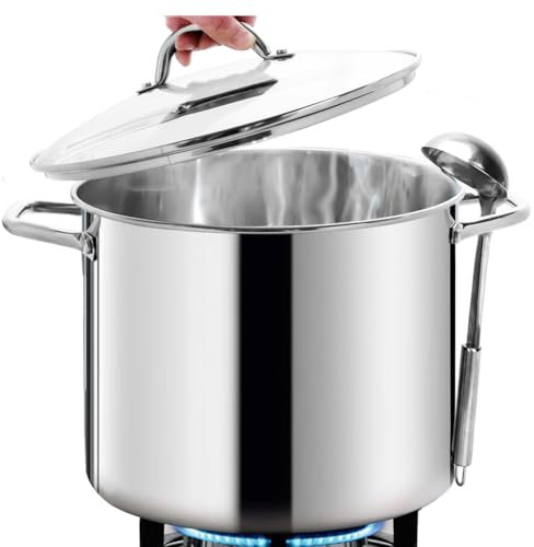 HOMICHEF Pentola Grande in Acciaio Inossidabile Senza Nichel con Coperchio in Vetro (29 cm, 15 Litri) - Pentola a Induzione per la Salute con Finitura a Specchio