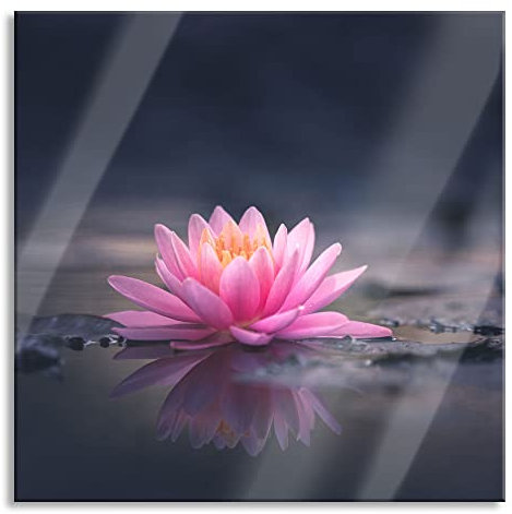 Pixxprint Glasbild, Wandbild auf Echtglas, Leuchtende Lotusblüte auf grauer Pfütze, 60x60 cm, inkl. Aufhängung und Abstandshalter